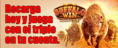 Recarga Diaria de Poder promotion banner
